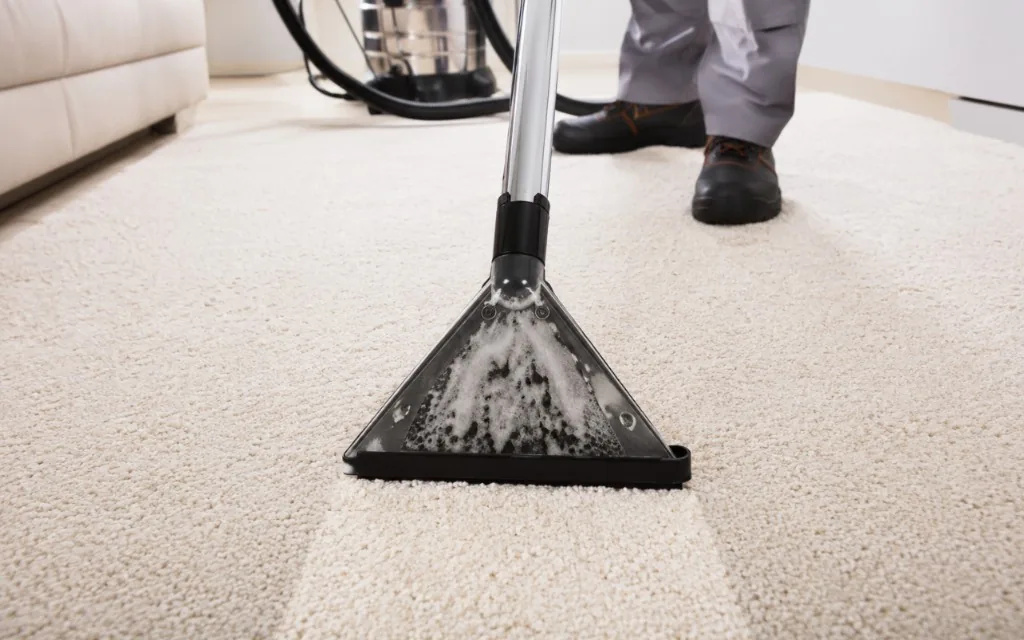 Professional carpet cleaning with hot-water extraction on a light carpet in March, Cambridgeshire